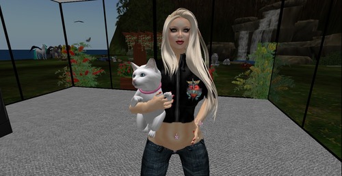 Web 526c755471cc98188c000001