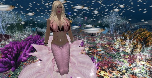 Web 547ed17ea73e216b7c000001