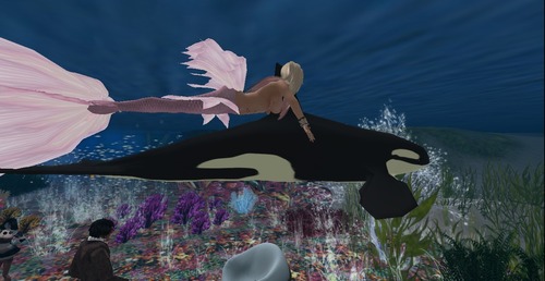 Web 547ed717128cc93d67000001