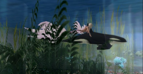 Web 547edabf8da57266df000001