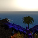 Thumb 524fa01e2a1eb03475000001