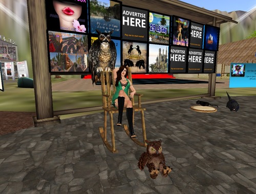 Web 52516e719abb702b26000001