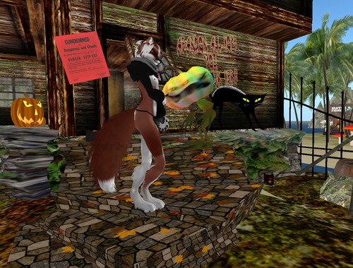 Web 52571edd138fe74d73000001