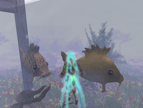 Web 556aab6df8a1ec4b71000001