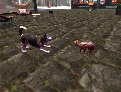 Web 55ac7d42128cc96f06000001