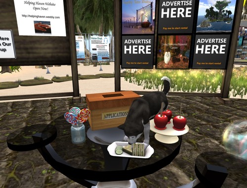 Web 55ac8851f8a1ec5e74000001