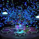 Thumb 62be08318b090d3eee209ae7