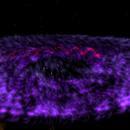 Thumb 62cf29343e11bc03cdb0d7e9