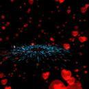 Thumb 62cf2ced97b88f5aed8755cd