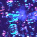 Thumb 62cf2e57a749610f593a9c68