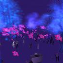 Thumb 62cf2e853e11bc0ed8b0d7e9