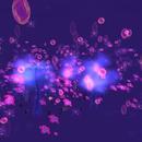 Thumb 62cf2eb63fd3372bf1b362b3