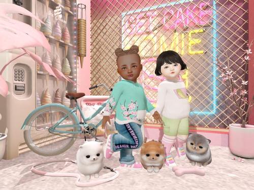 Web 5da1435ad9859c442d000001