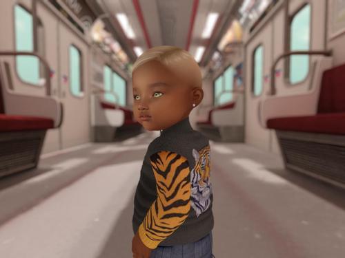 Web 5e24abebd774f821ec65e464