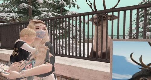 Web 5e766fb073ed174cb623be40