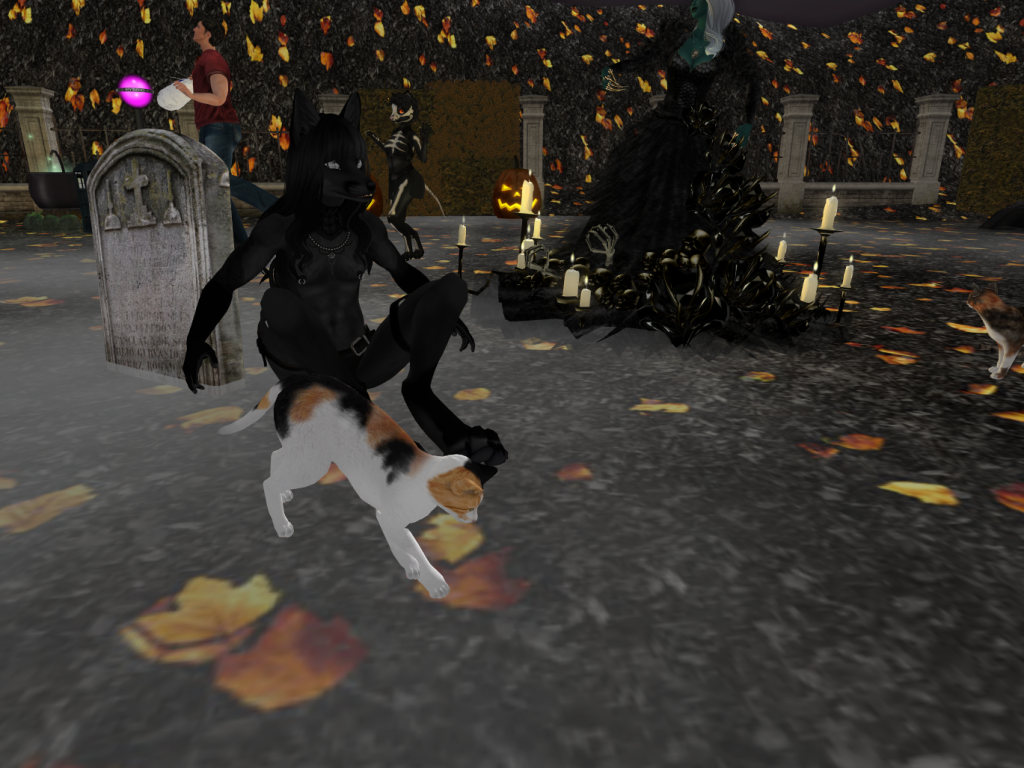 Original 58180013b015406a70000001