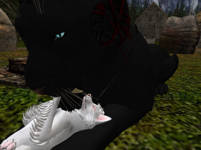 Original 5b3581c373ed17758b000001