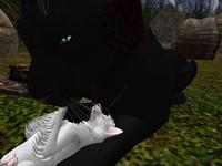 Small 5b3581c373ed17758b000001