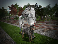 Small 65a725f6c3b2a1739f6f1d8c