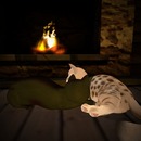 Thumb 56f784289934e062a4000001