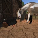 Thumb 57237d48f8a1ec3d3a000001