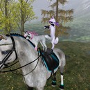 Thumb 5753d386e85cda3d17000001