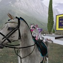 Thumb 5753d3b6b713f749e4000001