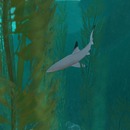 Thumb 577edd9af8a1ec6e4c000001