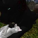 Thumb 5b3581c373ed17758b000001