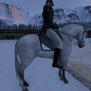 Thumb 658db76c9b3e7a16b258ee50