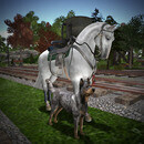 Thumb 65a72547c3b2a170716f1d8c