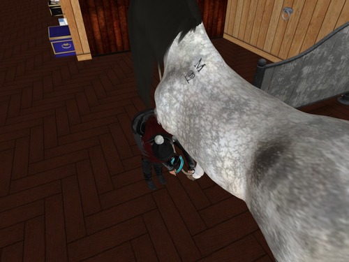 Web 58058f59b015404fd5000001