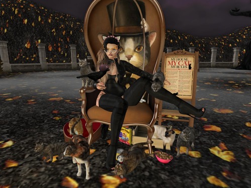 Web 5817fddef8a1ec535b000001