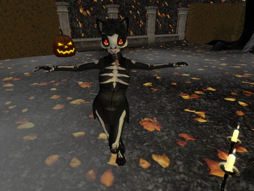 Web 5817ff1ab713f754cf000001