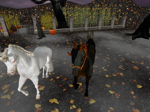 Web 5817ffceb01540665c000001