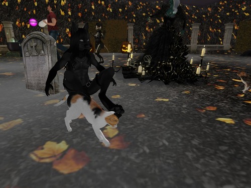 Web 58180013b015406a70000001