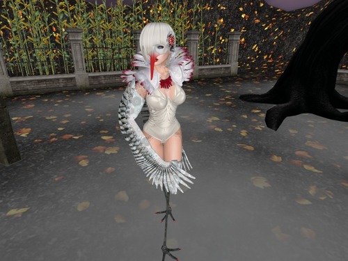 Web 58180403f8a1ec1181000001