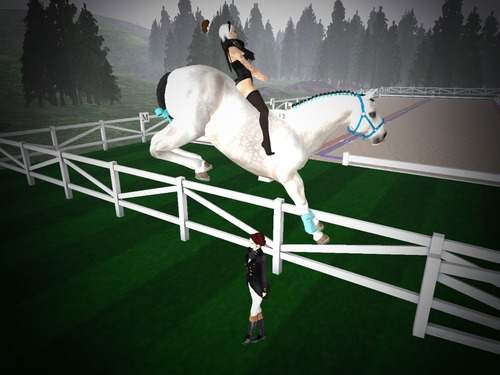 Web 5827b530e85cda3602000001