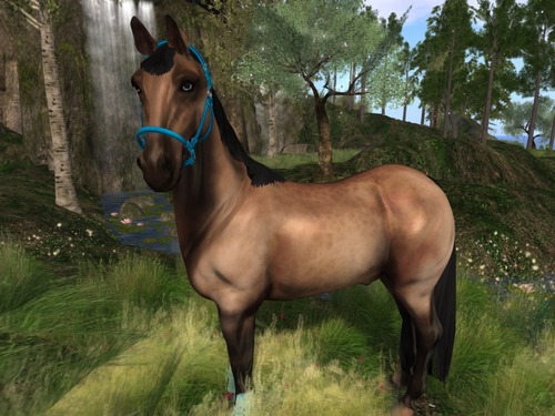 Web 582cf4f6b0154003e0000001