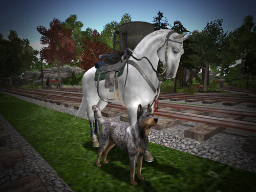 Web 65a72547c3b2a170716f1d8c