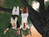 Small 57602f02e85cda5dcb000001