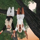 Thumb 57602f02e85cda5dcb000001