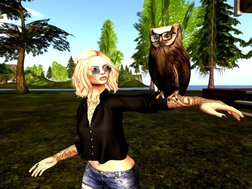 Web 584308d6b015403cf2000001