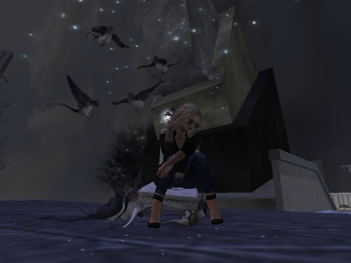 Web 58485d43b0154022b9000001