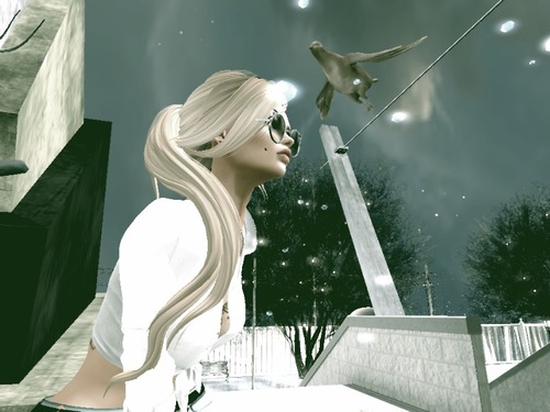 Web 5849614fb01540371a000001