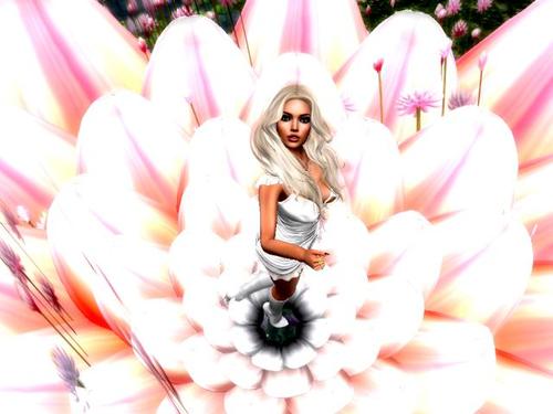 Web 5d5a5807d774f857f5000001