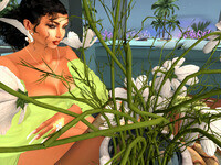 Small 65afbeb02eccf25a3341cf37