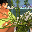 Thumb 65afbeb02eccf25a3341cf37