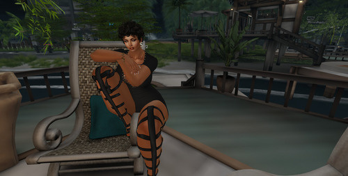 Web 65bdcdb9b0b35e3205a85b02