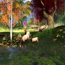 Thumb 542182d4128cc91ff8000001